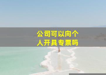 公司可以向个人开具专票吗