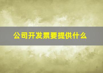 公司开发票要提供什么