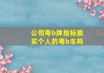 公司粤b牌指标能买个人的粤b车吗