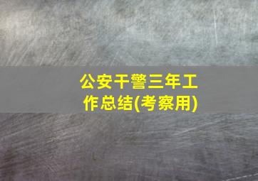 公安干警三年工作总结(考察用)