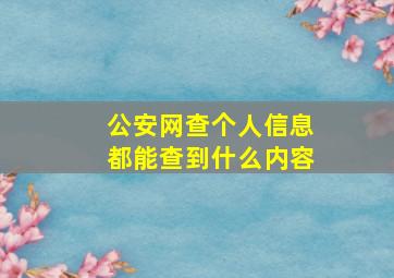 公安网查个人信息都能查到什么内容