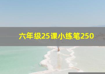 六年级25课小练笔250