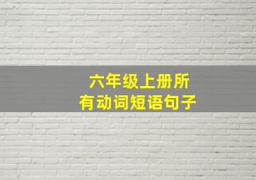 六年级上册所有动词短语句子