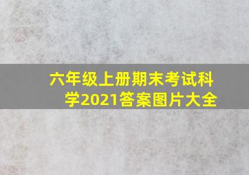 六年级上册期末考试科学2021答案图片大全