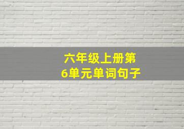 六年级上册第6单元单词句子