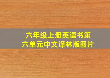 六年级上册英语书第六单元中文译林版图片