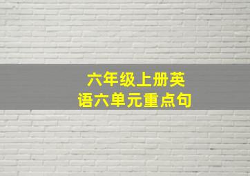 六年级上册英语六单元重点句