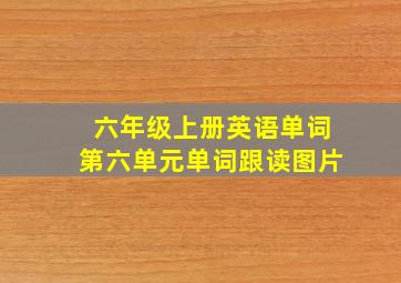 六年级上册英语单词第六单元单词跟读图片