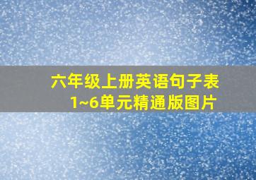 六年级上册英语句子表1~6单元精通版图片