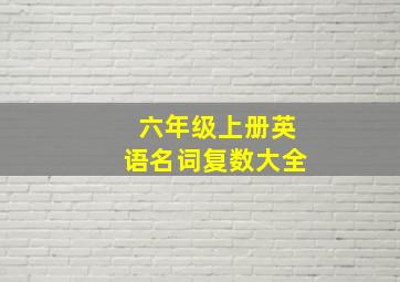 六年级上册英语名词复数大全