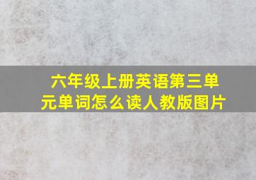 六年级上册英语第三单元单词怎么读人教版图片