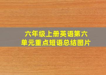 六年级上册英语第六单元重点短语总结图片