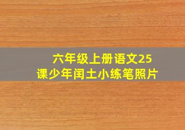 六年级上册语文25课少年闰土小练笔照片