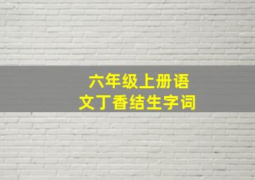 六年级上册语文丁香结生字词