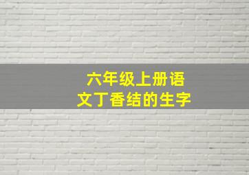 六年级上册语文丁香结的生字