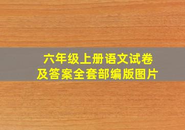 六年级上册语文试卷及答案全套部编版图片