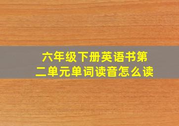 六年级下册英语书第二单元单词读音怎么读