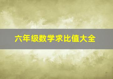 六年级数学求比值大全