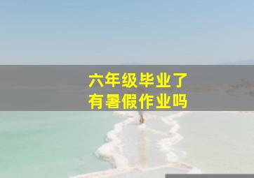 六年级毕业了有暑假作业吗