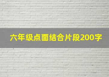 六年级点面结合片段200字