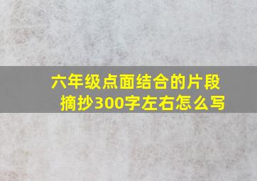 六年级点面结合的片段摘抄300字左右怎么写