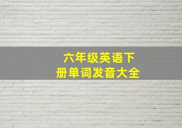 六年级英语下册单词发音大全