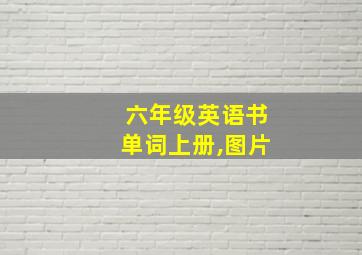 六年级英语书单词上册,图片