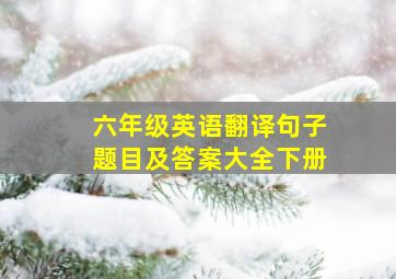 六年级英语翻译句子题目及答案大全下册