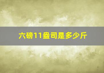 六磅11盎司是多少斤