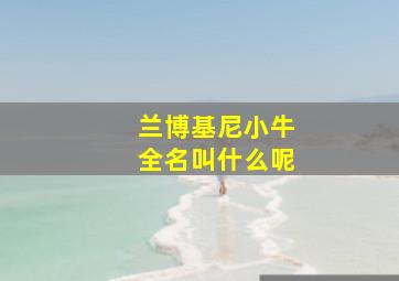 兰博基尼小牛全名叫什么呢