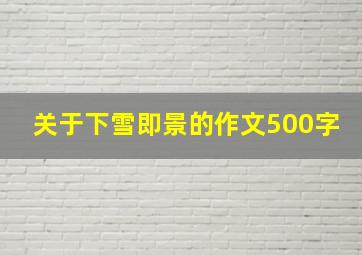 关于下雪即景的作文500字