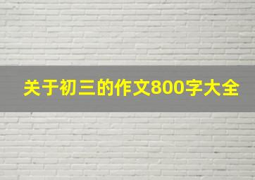 关于初三的作文800字大全