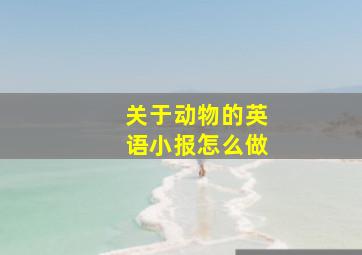 关于动物的英语小报怎么做