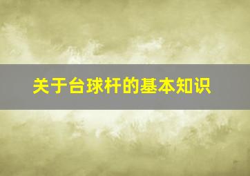 关于台球杆的基本知识