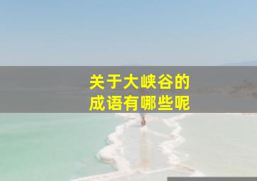 关于大峡谷的成语有哪些呢