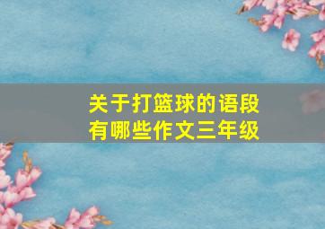 关于打篮球的语段有哪些作文三年级