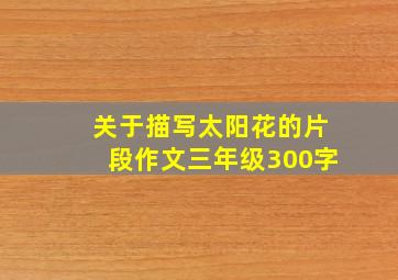 关于描写太阳花的片段作文三年级300字