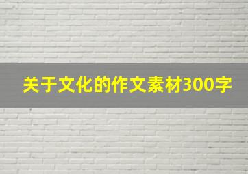 关于文化的作文素材300字