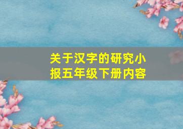 关于汉字的研究小报五年级下册内容