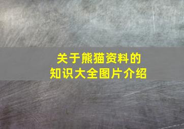 关于熊猫资料的知识大全图片介绍