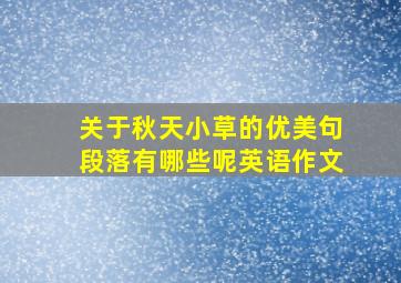 关于秋天小草的优美句段落有哪些呢英语作文