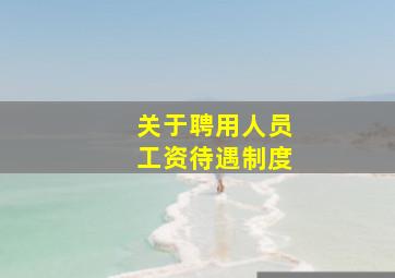 关于聘用人员工资待遇制度