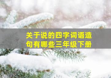 关于说的四字词语造句有哪些三年级下册