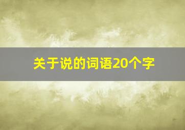 关于说的词语20个字