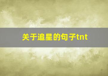 关于追星的句子tnt