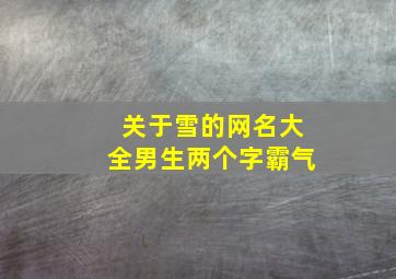 关于雪的网名大全男生两个字霸气