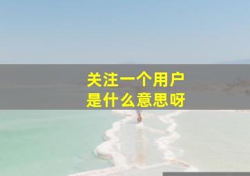 关注一个用户是什么意思呀