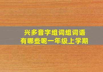 兴多音字组词组词语有哪些呢一年级上学期