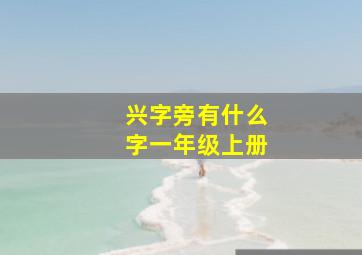 兴字旁有什么字一年级上册