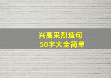 兴高采烈造句50字大全简单